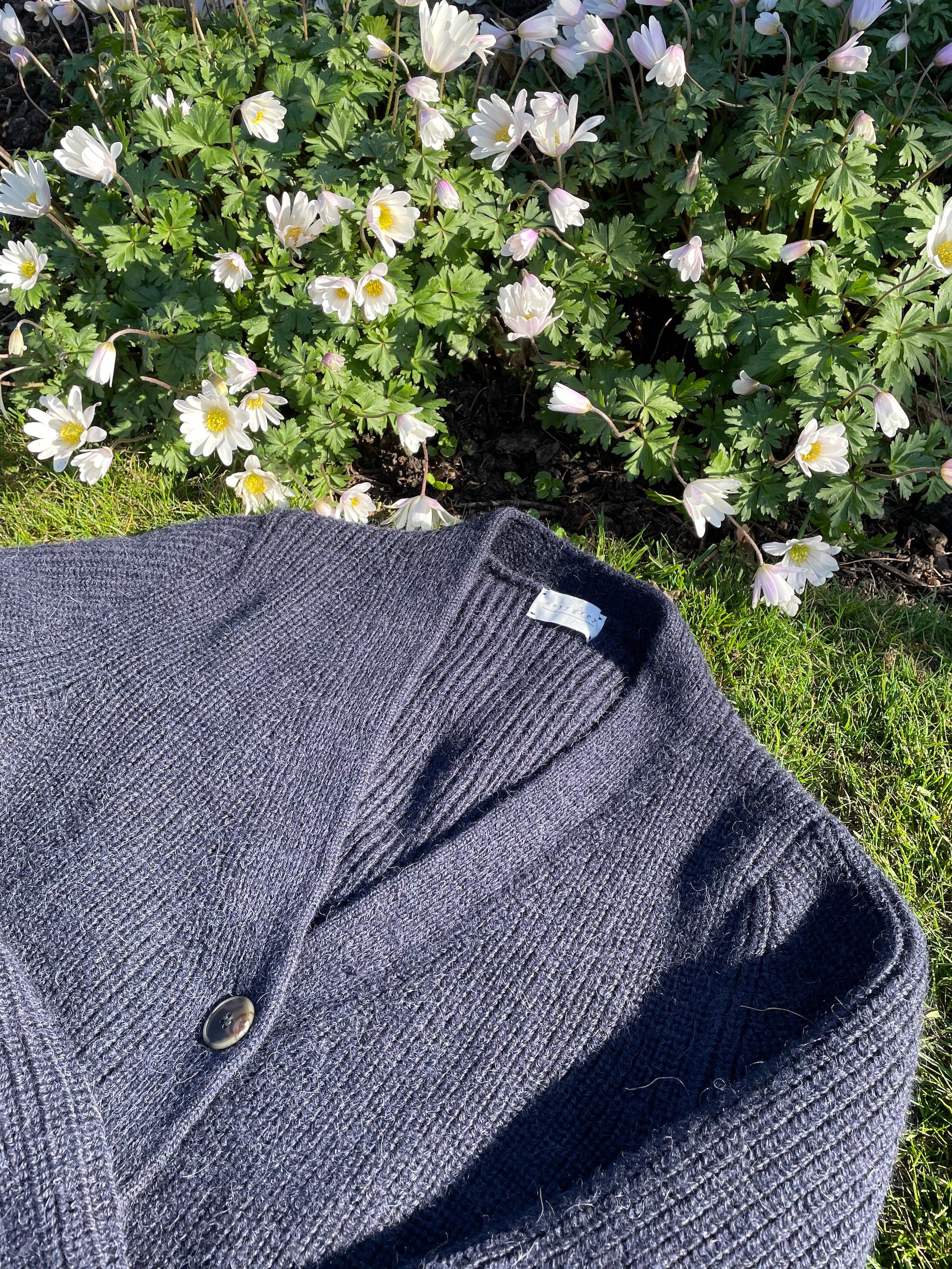 Dear Spring...