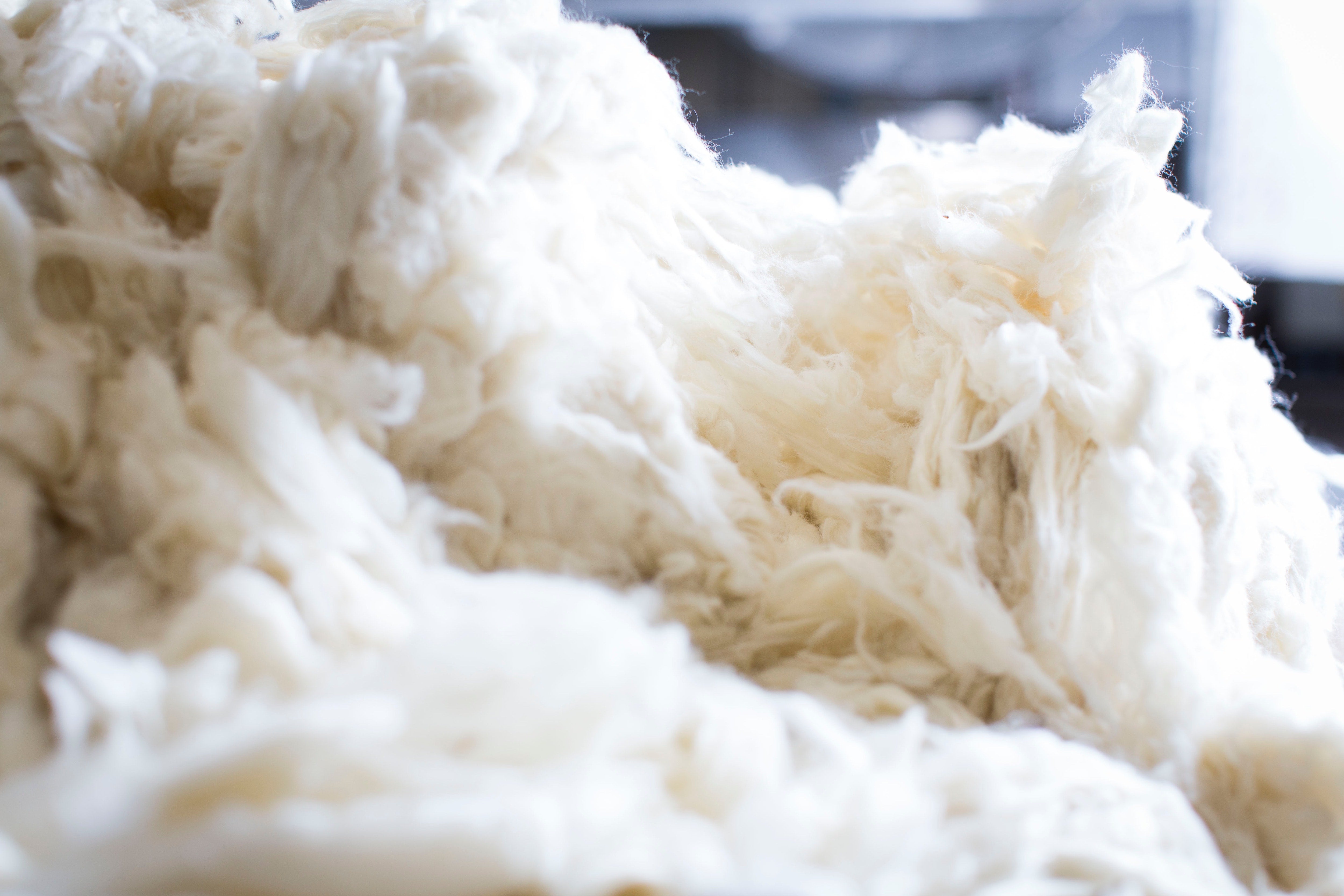 Why Wool Matters
